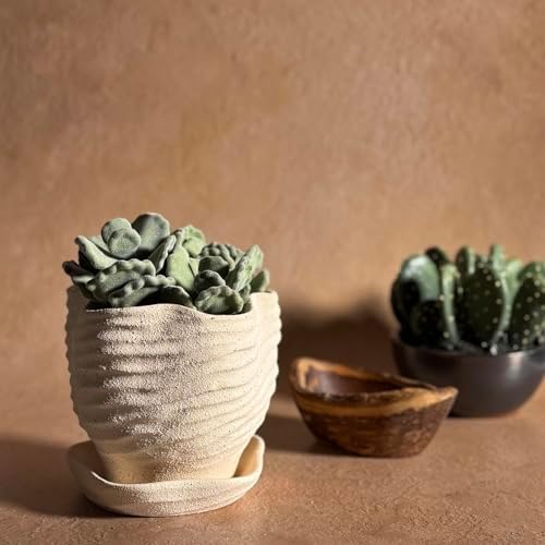 Sandy Ridge 5" Ceramic Planter with Saucer, Light Tan - Image 2