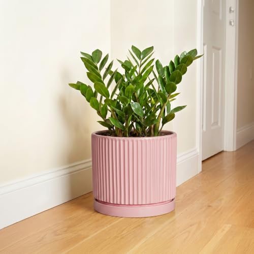 10 Inch Planter, Ceramic Pots for Plants, Round Plant Pots, Pink - Image 6
