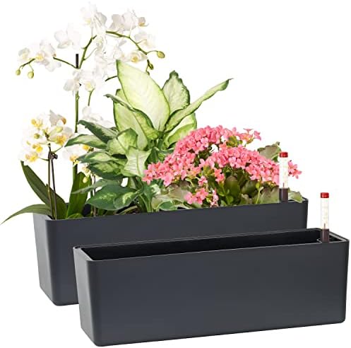 Elongated Self Watering Planter Pots 2-Pack Window Box 5.5 x 16 inch Indoor Home Garden Modern Decorative Pot for All House Plants Flowers Herbs (Dark Grey,2) by GardenBasix