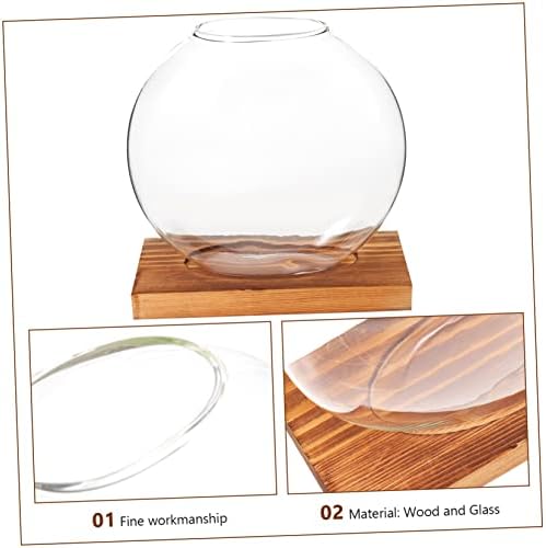 Hydroponic Glass Plant Vase with Wooden Base 5.03In Desktop Planter for Indoor Propagation Terrarium Home Office Decoration and Housewarming Gift - Image 4