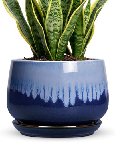 Ceramic Pots for Plants, 9 Inch Indoor Planter, Deep Blue by Fivepot
