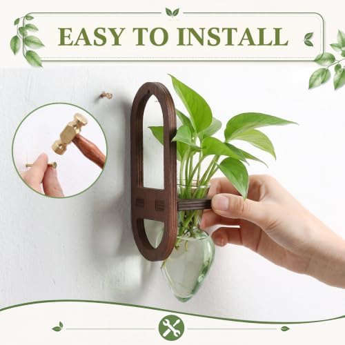 Hushee 3 Set Plant Propagation Station for Wall Hanging with Wooden Stand - Image 5