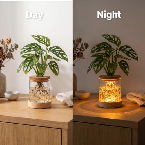 2 Pack Plant Propagation Station with Light, Hydroponic Glass Vase - Image 3