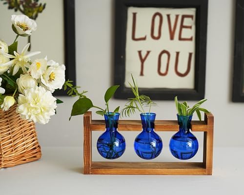 Kingbuy Glass Plant Terrarium Propagation Station - 3 Bulb Colored Vases with Retro Wood Stand Indoor Garden Planter - Wall Mounted & Desktop Decor for Home Kitchen Wedding, Gift for Plant Lover, Blue - Image 6