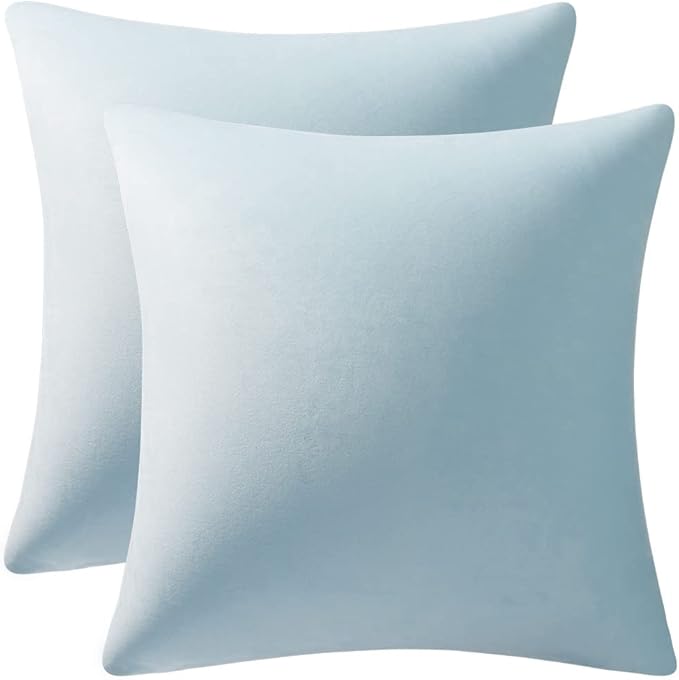 Throw Pillow Cases 20x20 Light-Blue: 2 Pack Cozy Soft Velvet Square Decorative Pillow Covers for Farmhouse Home Decor