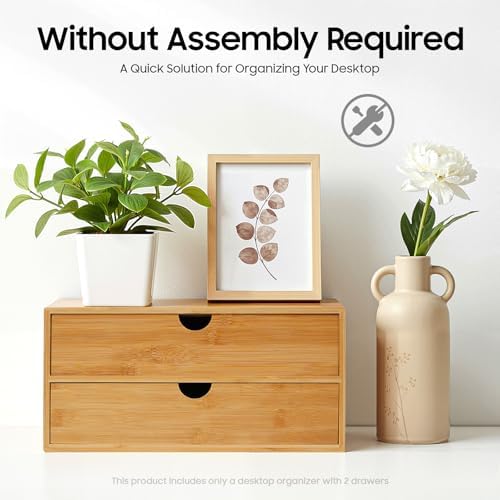 Desk Organizer, Office Vanity Bamboo Desk Organizer, Mini Bamboo Desk Drawer Tabletop Storage Box with 2 Drawer Night Stand Table Organizer for Makeup Vanity Office Supplies (2 Drawer) - Image 4