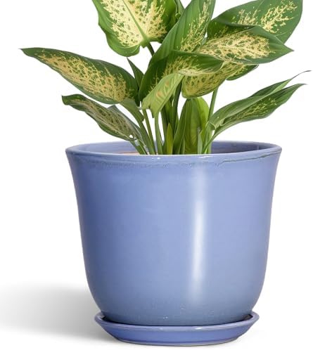 Ceramic Plant Pots, 5.6 Inch Plant Pot for Indoor, Purple-Blue by SUNPOTFOR