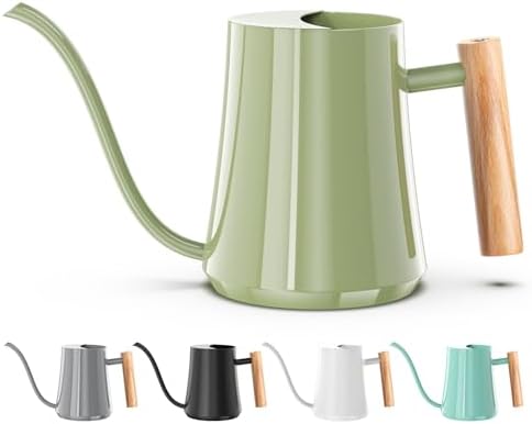 Green Moon 1L/35oz Metal Watering Can Indoor with Long Spout, Sage Green by GreenMoon