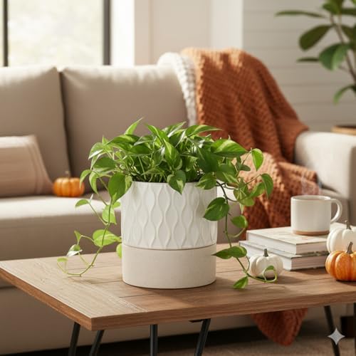 Nihow Ceramic Self Watering Plant Pot for Indoor Plants, 6 Inch,Cream White - Image 5