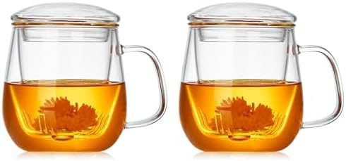 DOPUDO Glass Teacups 2 Pack Glass Tea Cup with Infuser and Lid, 17.6oz/520ml Large Borosilicate Teacup,Tea Clear Mug Cup for Loose Leaf Blooming Tea, Microwave & Dishwasher Safe. by DOPUDO