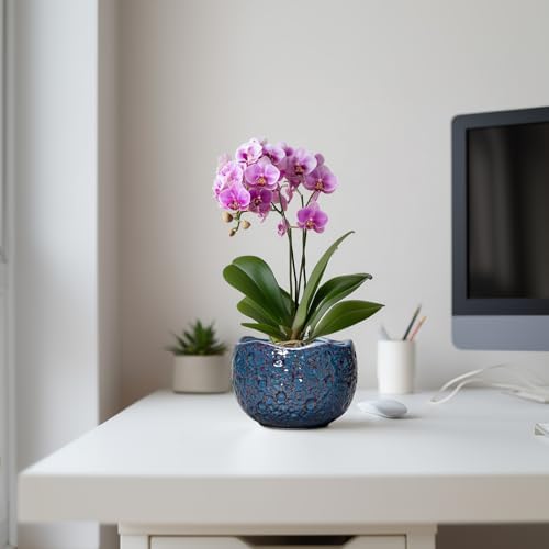 6 Inch Plant Pot, Ceramic Pots for Plants, Retro Blue - Image 5