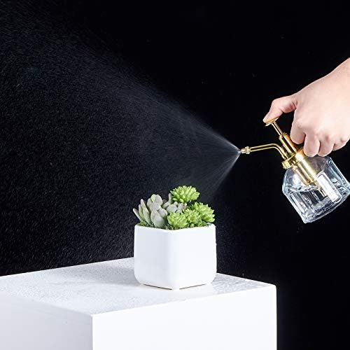 Glass Plant Mister Spray Bottle, Succulent Watering Bottle with Golden Top Pump, Vintage Plant Spritzer, Decorative Water Sprayer Small Watering Can for Indoor Outdoor Houseplant - Clear - Image 4