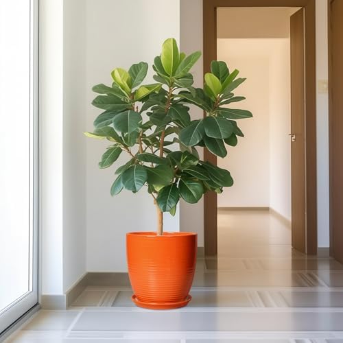 12 Inch Plant Pot, Ceramic Planters for Plants with Drainage and Saucer, Orange - Image 2