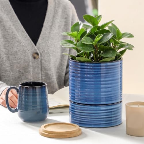 HASENSE Ceramic Self Watering Pots for Indoor Plant, 6 Inch Planter with Drainage Hole & Water Storage Saucer for Indoor & Outdoor Plants, Reactive Glaze Blue - Image 7