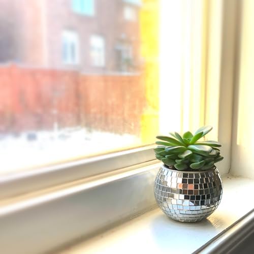 Mini Disco Ball Planter (Silver Color) Mini Vase Indoor Planter for Eucalyptus Plant for Shower Housewarming Gift Ideas Cute Desk Accessories Aesthetic Decor Silver - Image 4