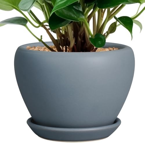 Ceramicfor Ceramic Pot for Plants - 6 Inch Plant Pot Indoor with Drainage Hole and Saucer Decorative Planter for Outdoor Plants Modern Succulent Pots Round Flower Pots Gray by Ceramicfor