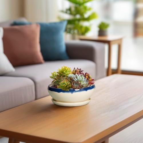 SQOWL Succulent Pots 6 Inch, Ceramic Bonsai Pots with Saucer, Blue-Beige - Image 6