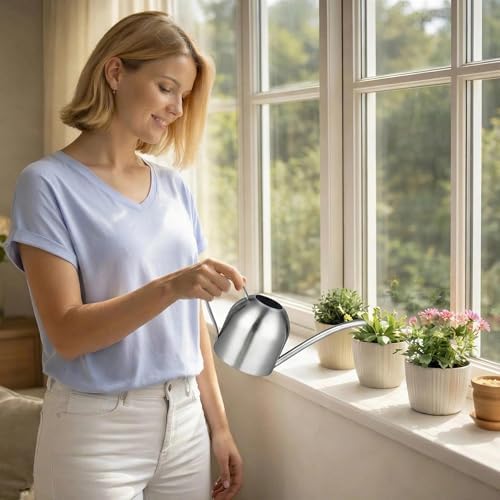 IMEEA Indoor Watering Can for House Plants 33oz/1L Brushed Stainless Steel Watering Can with Long Spout for Succulents, Bonsai - Image 2