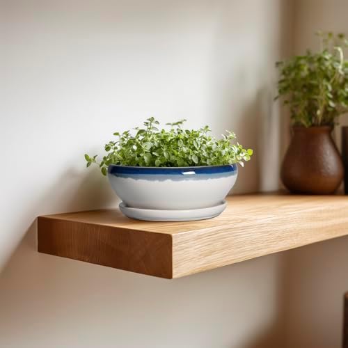 SQOWL Succulent Planters 6 Inch - Ceramic Bonsai Pots with Drainage Hole and Saucer, Round Shallow Planter for Indoor Plants, Ceramic Cactus Pot, Apartment Decor, Gifts for Women, Blue Off-White - Image 4