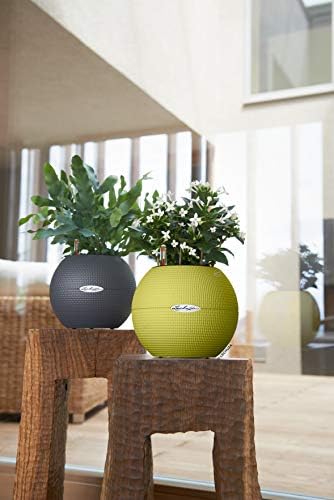 Lechuza 13362 Puro 20 Texture Self-Watering Garden Planter for Indoor and Outdoor Use, Lime Green - Image 3