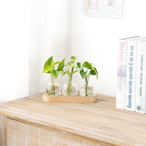 Mkono Plant Propagation Station, Desktop Glass 3 Bulb Vase Beige Wood Tray - Image 3