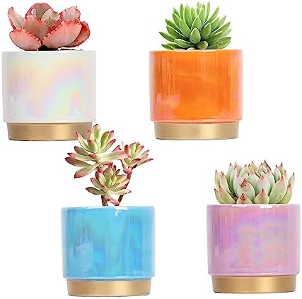 Gepege Succulent Pots for Plants, Succulent Planter with Drainage Holes, Ceramic Pot for Indoor Plant, Set of 4 by Gepege