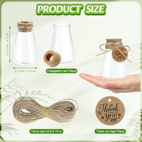 30PCS Plant Propagation Stations 3.35'' Plastic Propagation Jars Clear Vase - Image 2