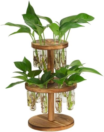 Plant Propagation Station, 15 Propagation Tubes with Wooden Stand by Unknown