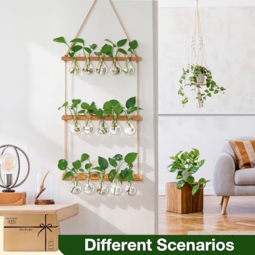 XXXFLOWER Wall Hanging Propagation Station 5 Bulb Vase 3 Tiers - Image 4