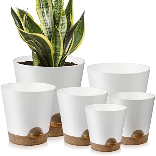 YNNICO Indoor Self Watering Planters with Drainage Holes and Saucers, 8, 7, 6.5, 6, 5.5, 5 Inches, White, 6 Pots by AFamilyofGardenLovers