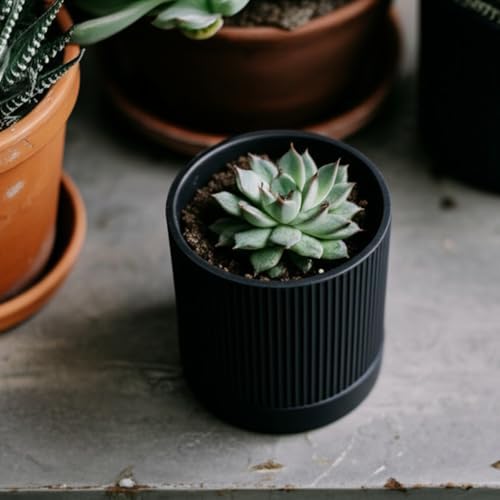 HERDUK Small Plant Pots, 4 Inch Pots for Indoor Plants, Modern Minimalist Ceramic Plant Pots with Drainage Hole & Saucer, Matte Black Set of 2 - Image 6