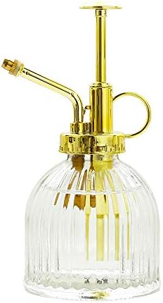 Glass Plant Mister Spray Bottle, Vintage Plant Water Spritzer, Succulent Watering Bottle with Gold Top Pump, Decorative Glass Sprayer Mister Small Watering Can for Indoor Houseplant - Clear by Ebristar