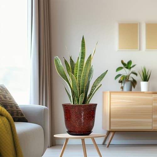 Ceramic Planter - 8 Inch Plant Pot for Indoor Outdoor, Ceramic Flower Pots with Drainage Hole and Saucer, Round Planter, Decorative Plant Pot, Room Home Apartment Decor, Gift for Women, Red - Image 5