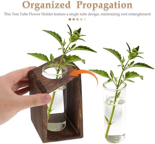 Toyvian Single Tube Wood Vase Stand for Hydroponic Plant Propagation - Image 3