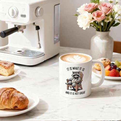 It Is What It Is And It Is Not Great 11 oz Ceramic Raccoon Mug - Image 5