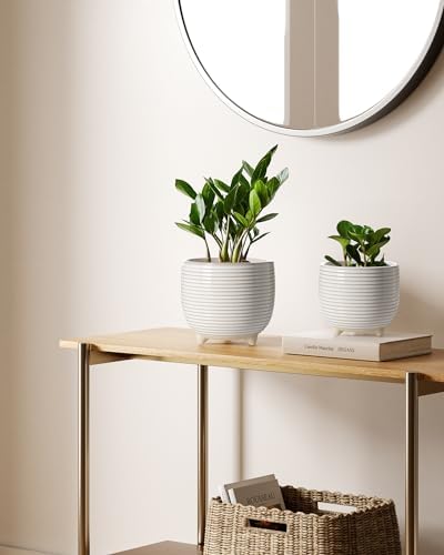 LE TAUCI Ceramic Plant Pots, 5.1 + 6.4 Inch Footed Pots for Plants, Modern Flower Pots for Home and Office, Indoor Planters with Drainage, Reactive Glaze White - Image 3