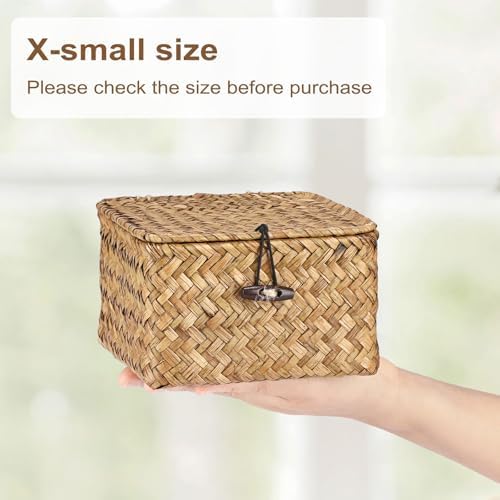 Hipiwe Wicker Shelf Basket Bin with Lid X-small Square Seagrass Storage Box - Image 5