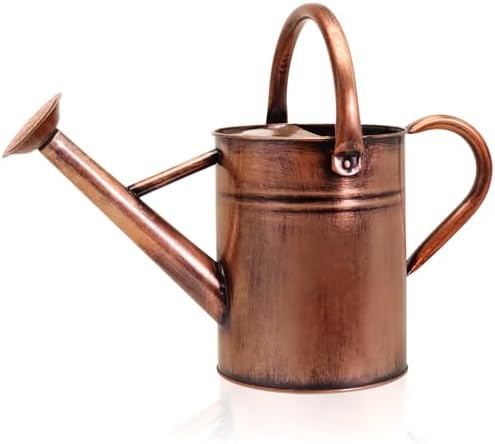 Metal Watering Can with Removable Spout, Galvanized Watering Can, Perfect for Indoor Use and for Outdoor Use (1 Gallaon, Metal) by Ausluru