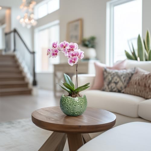 Ceramic Plant Pots - 4 inch Plant Pot with Drainage Hole, Small Pots for Plants Indoor Outdoor, Unique Round Planter, Modern Decorative Flower Pot, Room Decor, House Warming Gifts, Green - Image 4
