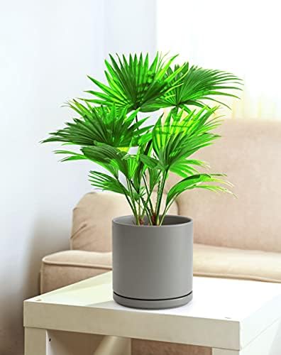 D'vine Dev 8 Inch Ceramic Planter Pot, Grey, 94-O-D-3 - Image 5