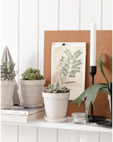 Ceramic Succulent Pots with Drainage Hole & Saucer, 4 Inch Small Plant Pots, Ceramic Planter for Indoor Plants, Embossed Flower Pots, Home Decor, Set of 4, Off-White - Image 6