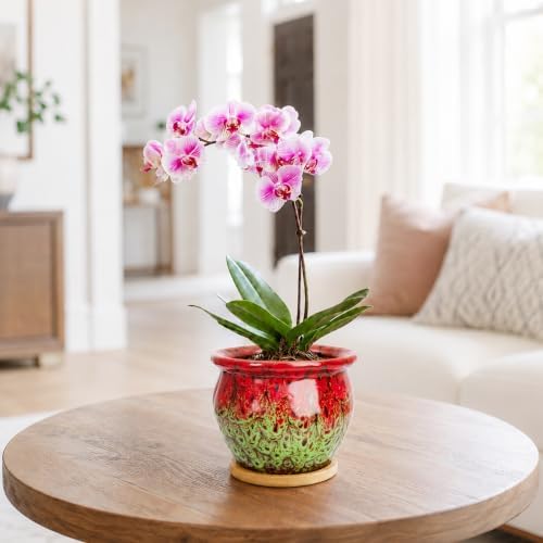 4.5 Inch Plant Pots with Drainage, Small Ceramic Pots for Indoor Plants - Image 5
