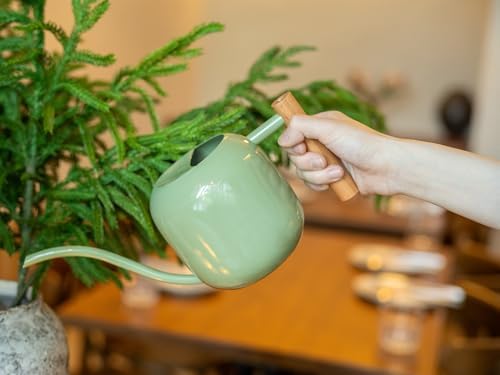 Green Moon 1.2L/41oz Metal Metal Watering Can with Long Spout, Sage Green - Image 4