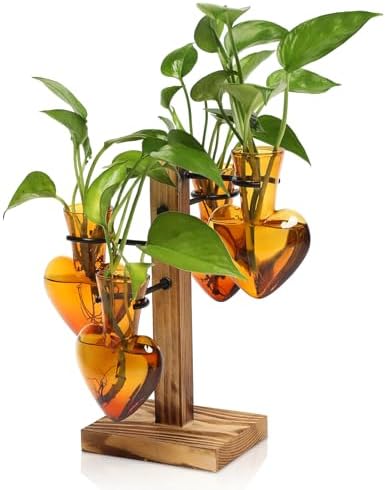 Plant Terrarium Propagation Stations with Wooden Stand by CYZglass