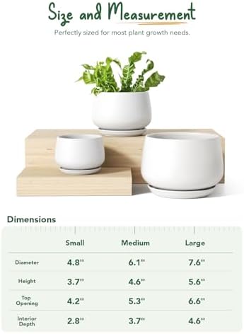 LE TAUCI Ceramic Plant Pots, 4.1+5.1+6.5 inch, Set of 3, Planters with Drainage Hole and Saucer, Indoor Flower Pot with Hole Mesh Pad, Gifts for Mom, White - Image 3