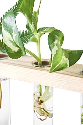 Mkono Plant Propagation Station, 3 Tier Beige Wall Hanging Vase Test Tubes - Image 4