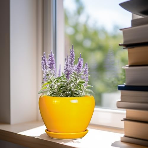 Ceramicfor Ceramic Pot for Plants - 6 Inch Plant Pot Glaze Modern Decorative Round Planter with Drainage Hole and Saucer for Home Patio Room Office House Decor, Yellow - Image 2