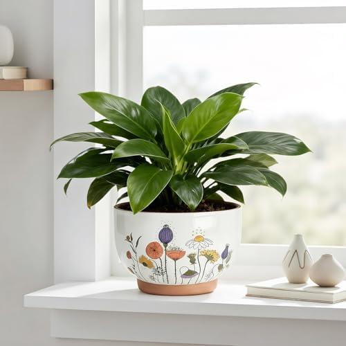 Terracotta Pots, 8+6 Inch Plant Pots, 2 Pcs with Drainage Holes - Image 2