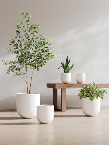 LE TAUCI 6 Inch Plant Pot, Ceramic Planter for Herbs & Small Houseplants, Tabletop Indoor Pot for Shelf, Desk and Windowsill, Small Planter with Drainage Hole & Rubber Plug, White - Image 4