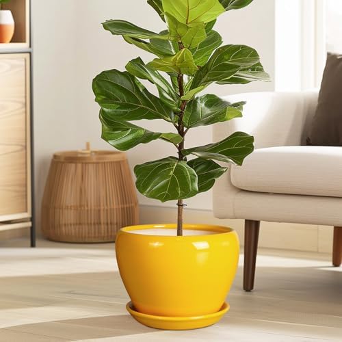 Ceramicfor 8 Inch Plant Pot - Glaze Modern Round Ceramic Planter for Indoor Outdoor Plants with Drainage Hole and Saucer for Home Patio Room Office Decor, Yellow - Image 2